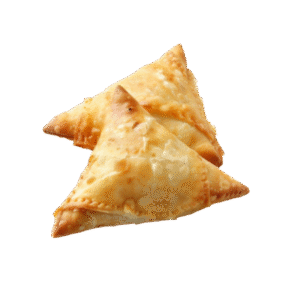 Chicken samosa
